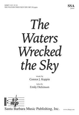 Connor J. Koppin: The Waters Wrecked The Sky