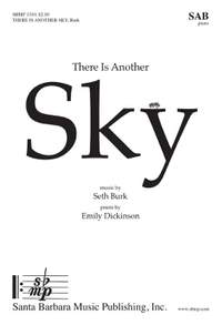 Seth Burk: There Is Another Sky