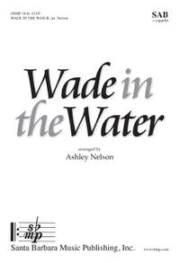 Ashley F. Nelson: Wade In The Water