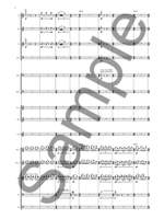 Nico Muhly: Sentences Product Image