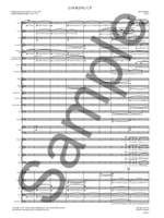 Nico Muhly: Looking Up Product Image