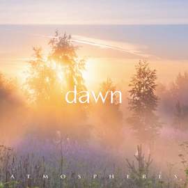 Dawn