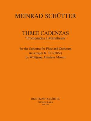 Meinrad Schütter: 3 Cadenzas "Promenades à Mannheim"