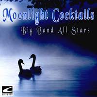 Moonlight Cocktails