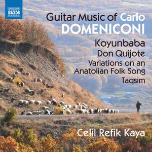 Carlo Domeniconi: Guitar Music