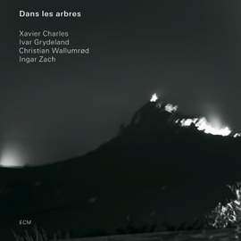 Dans Les Arbres
