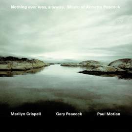 Nothing Ever Was Anyway