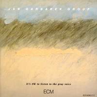 It's OK To Listen To The Gray Voice