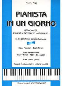 Anselmo Pulga: Pianista In Un Giorno