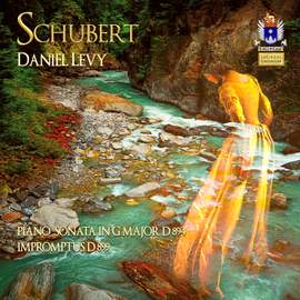 Schubert: Piano Sonata in G Major, Op. 78 & 4 Impromptus, Op. 90