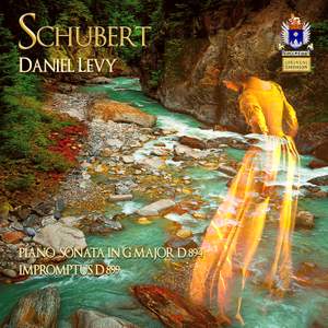 Schubert: Piano Sonata in G Major, Op. 78 & 4 Impromptus, Op. 90