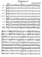 Waldstein, Ferdinand Graf von: Symphony in D Product Image