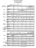 Mirecki, Franciszek: Symphony in C minor Product Image