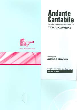 Tchaikovsky: Andante Cantabile