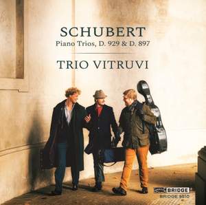 Schubert: Piano Trios, D929 & D897