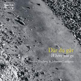 Anders Hagberg & Johannes Landgren: Where You Go