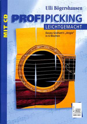 Ulli Bogershausen: Profi-Picking Leicht Gemacht