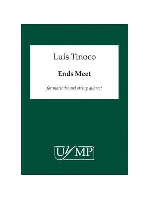 Luís Tinoco: Ends Meet