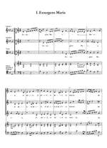 Aichinger: Cantiones Ecclesiasticae Product Image