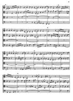 Padovano/Malvezzi/Peri: Ensemble Ricercars Product Image