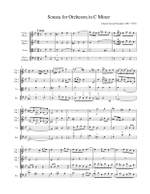 Pisendel: Sonata for Orchestra in C Minor Product Image