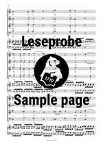 Zelenka: Missa Sanctissimae Trinitatis in A minor ZWV 17 Product Image