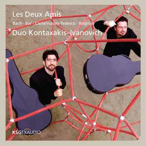 Les deux amis