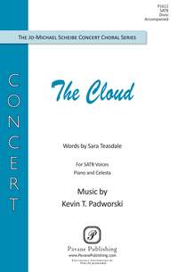Kevin T. Padworski: The Cloud