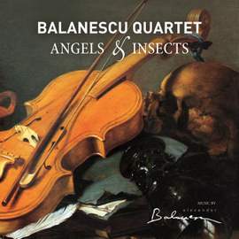 Angels & Insects