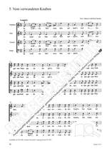 Schumann: Werke für gemischten Chor a cappella Product Image