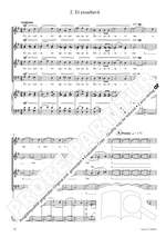 Fischer: Magnificat Product Image