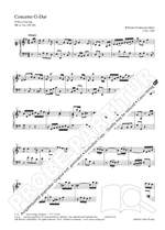 W. F. Bach: Sonatas for solo keyboard instrument IV Product Image