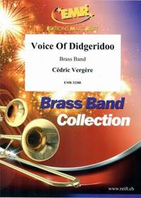 Cédric Vergere: Voice Of Didgeridoo