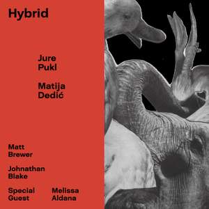 Hybrid (feat. Matt Brewer & Johnathan Blake)