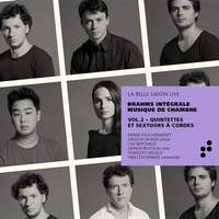 Brahms: Complete Chamber Music Vol. 2