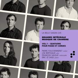Brahms: Complete Chamber Music Vol. 1