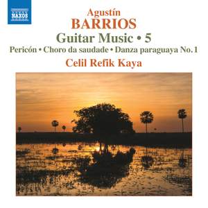 Barrios: Guitar Music, Vol. 5