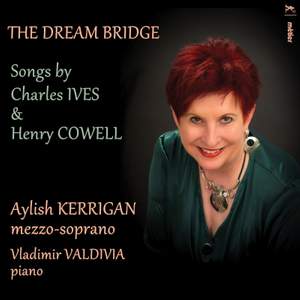The Dream Bridge Product Image