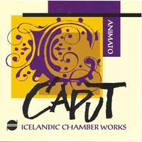 Animato: Icelandic Chamber Works