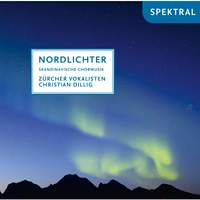 Alfvén, Gjeilo, Komulainen, Kuula, Lindberg, Mäntyjärvi, Nystedt, Rautavaara & Sibelius: Nordlichter