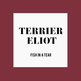 Fish In a Tear