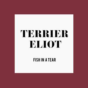 Fish In a Tear