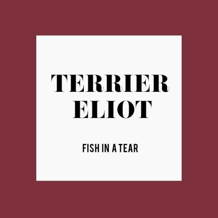 Fish In a Tear