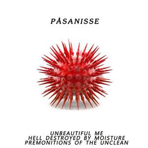 Paasanisse I Feberland