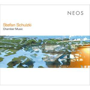 Stefan Schulzki: Chamber Music