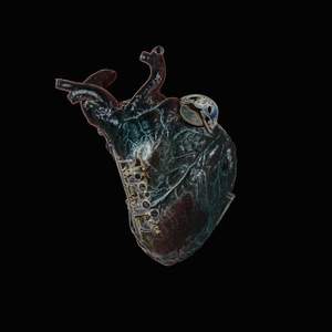 Guardians of the Heart Machine - Vinyl Edition