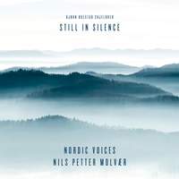 Still in Silence - Featuring Nils Petter Molvær