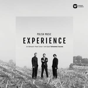 Polish Music Experience