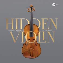 Hidden Violin