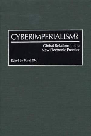 Cyberimperialism?: Global Relations in the New Electronic Frontier